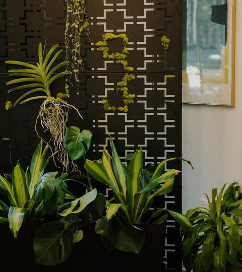 how to make a botanical privacy screen