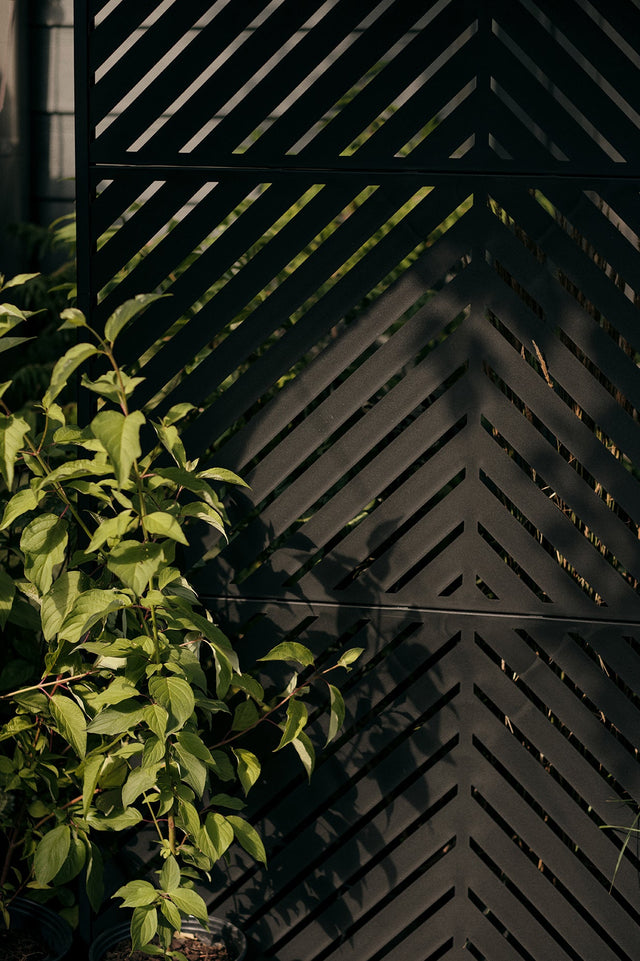 Parilla Privacy Screen in Black Metal