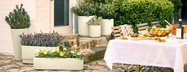 demi planter series