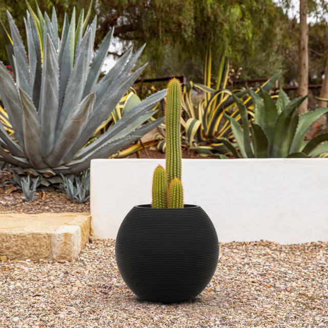 sphere planter