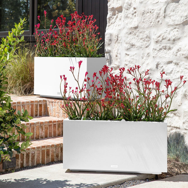 block long box planter