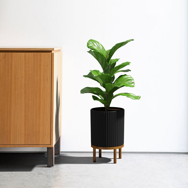 demi raised twelve planter