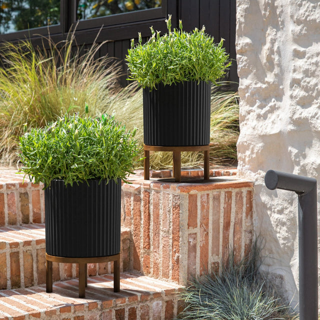 demi raised planter