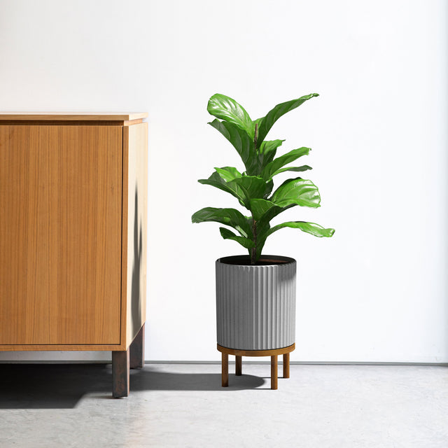 demi raised twelve planter