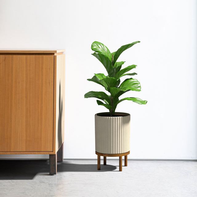 demi raised twelve planter