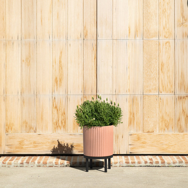 demi raised twelve planter