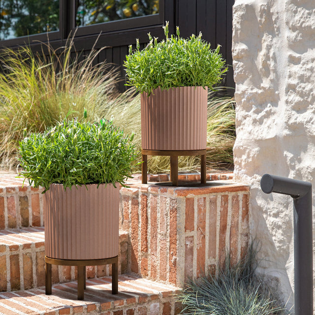 demi raised twelve planter