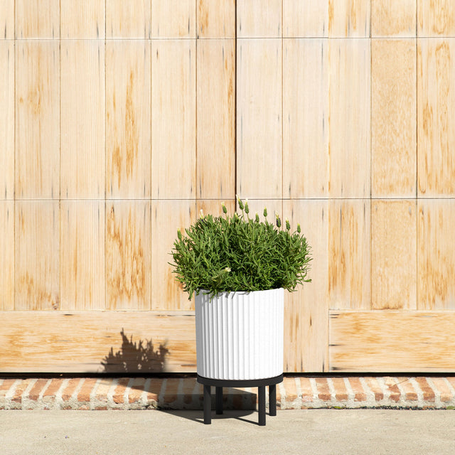 demi raised twelve planter