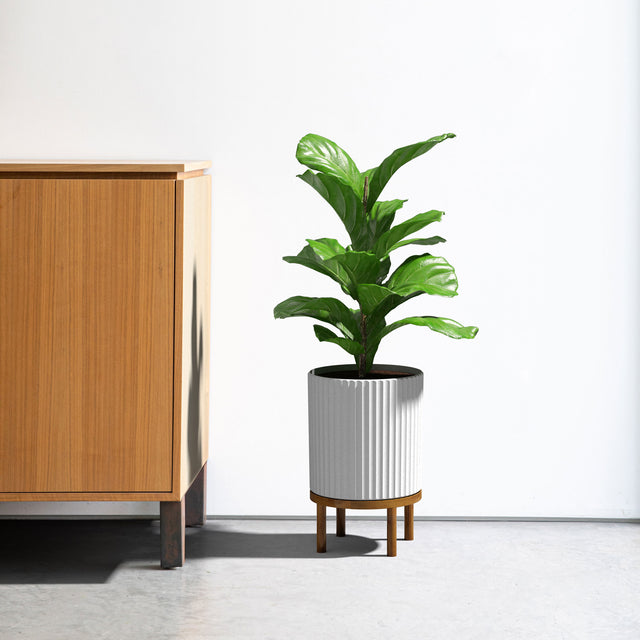 demi raised twelve planter
