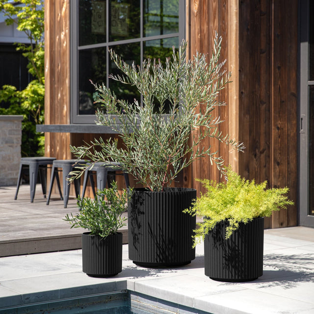 demi planter trio