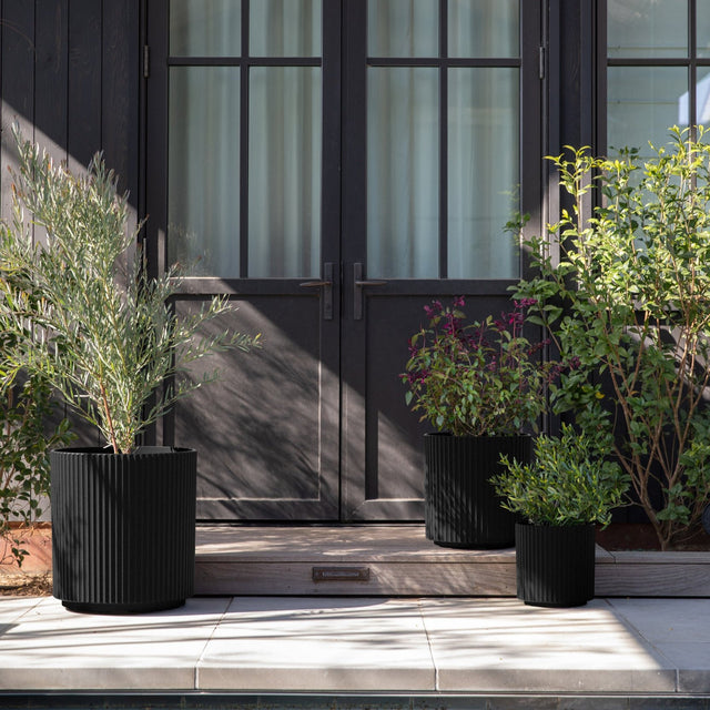 demi planter trio