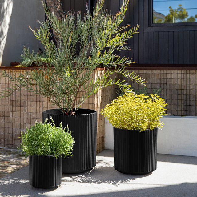demi planter trio