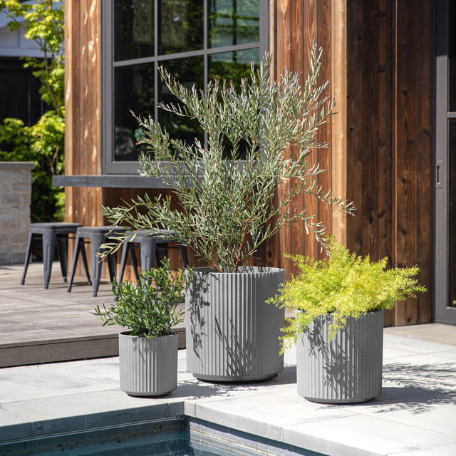 demi planter trio