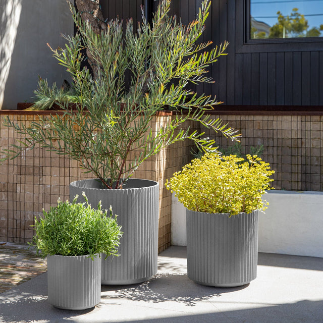 demi planter trio