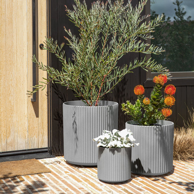 demi planter trio