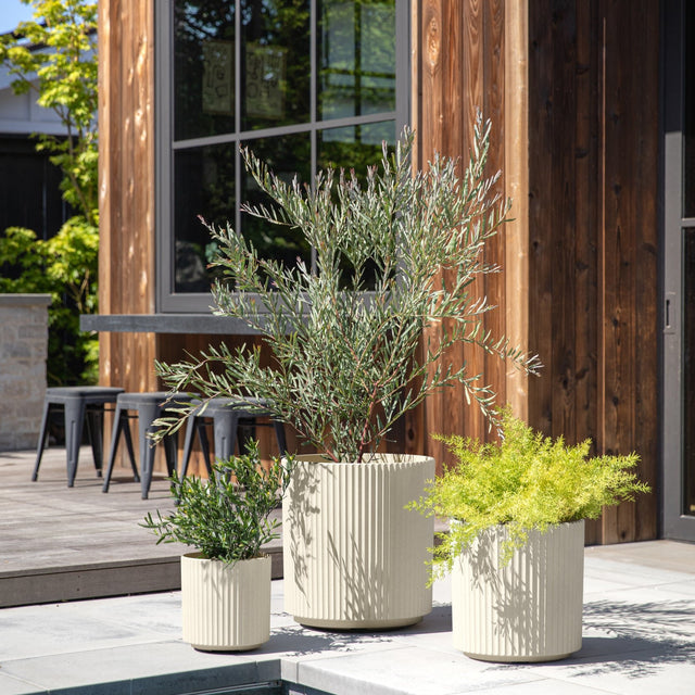 demi planter trio