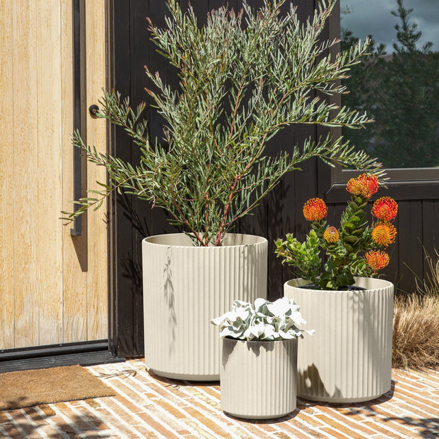 demi planter trio
