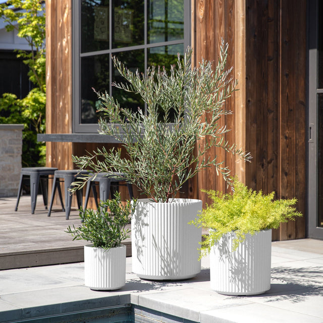 demi planter trio