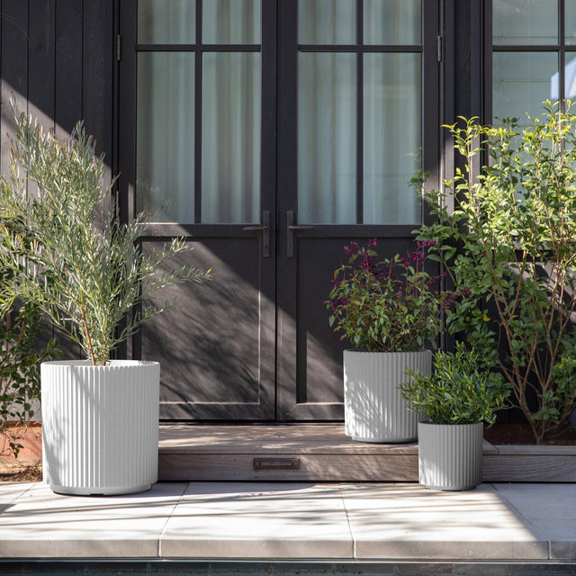 demi planter trio