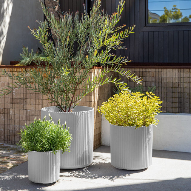 demi planter trio
