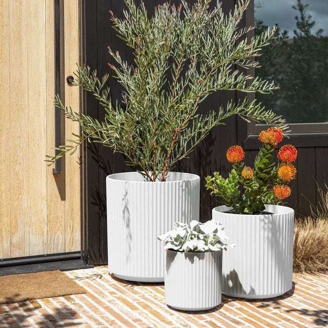 demi planter trio