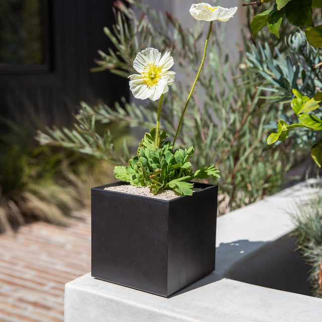 geo cube planter