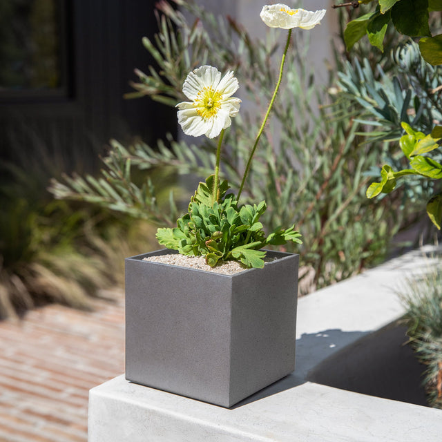 geo cube planter