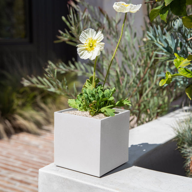 geo cube planter