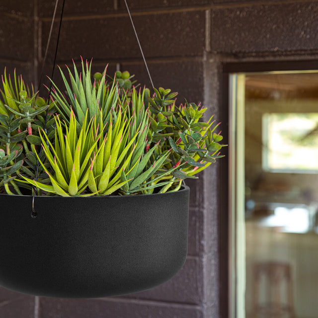 mason hanging kona bowl planter