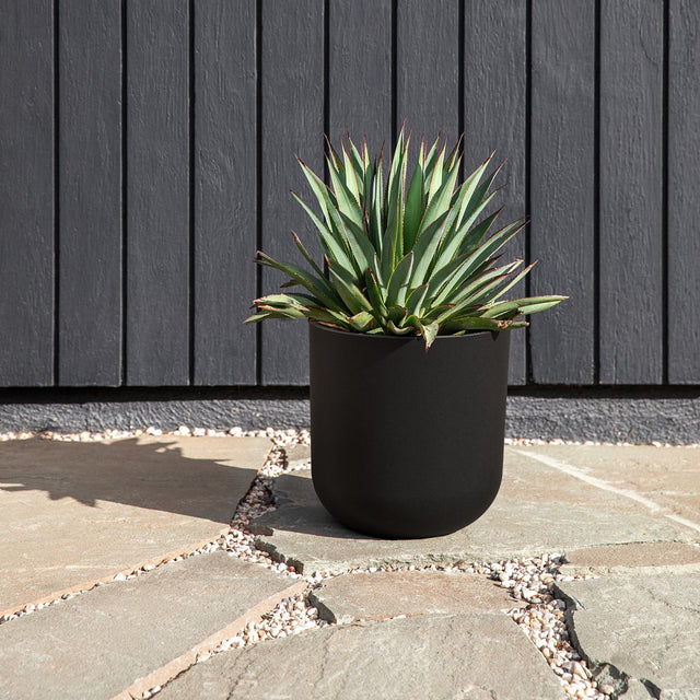 mason kona planter