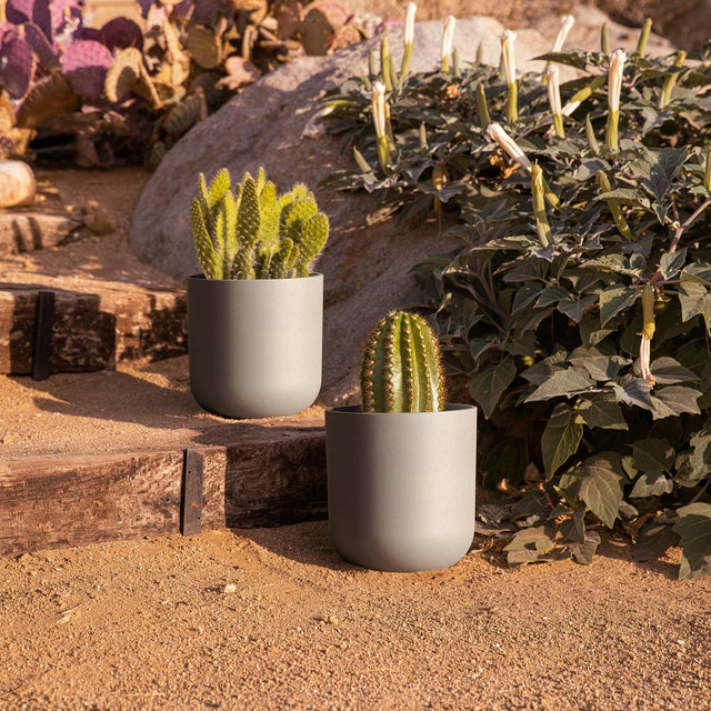 mason kona planter
