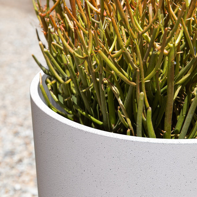 mason kona planter