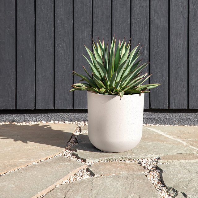 mason kona planter