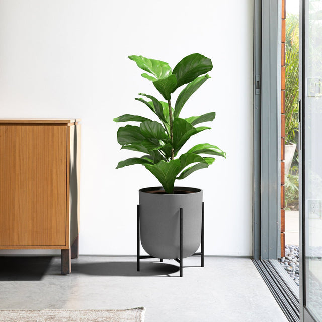 mason raised kona planter