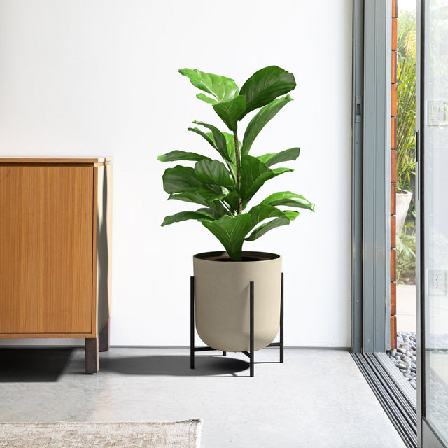 mason raised kona planter