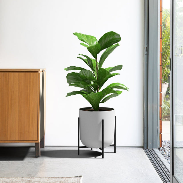 mason raised kona planter
