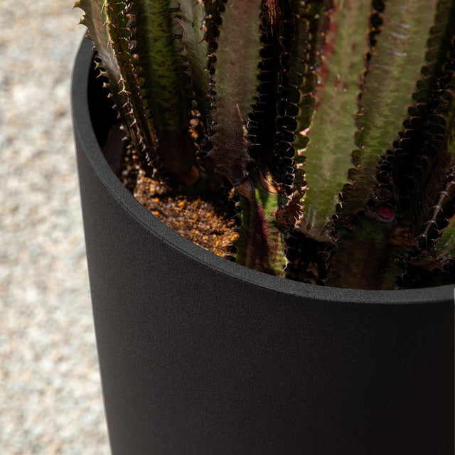 mason selena planter