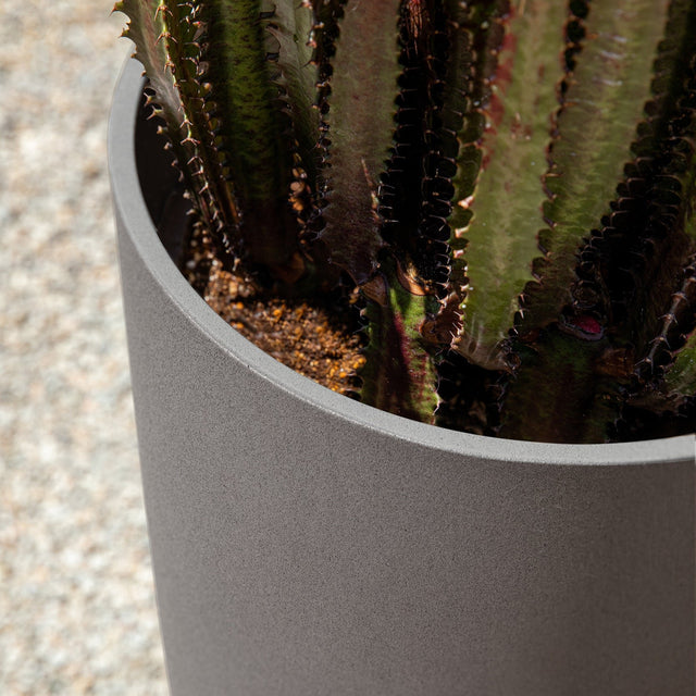 mason selena planter