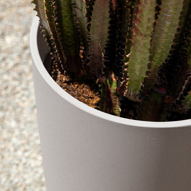 mason selena planter