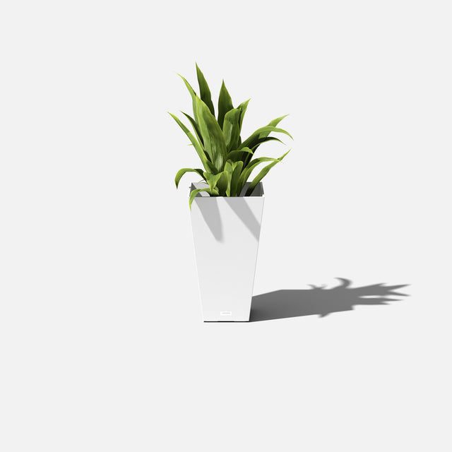 pure midland planter