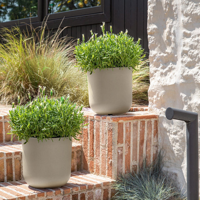 mason kona planter