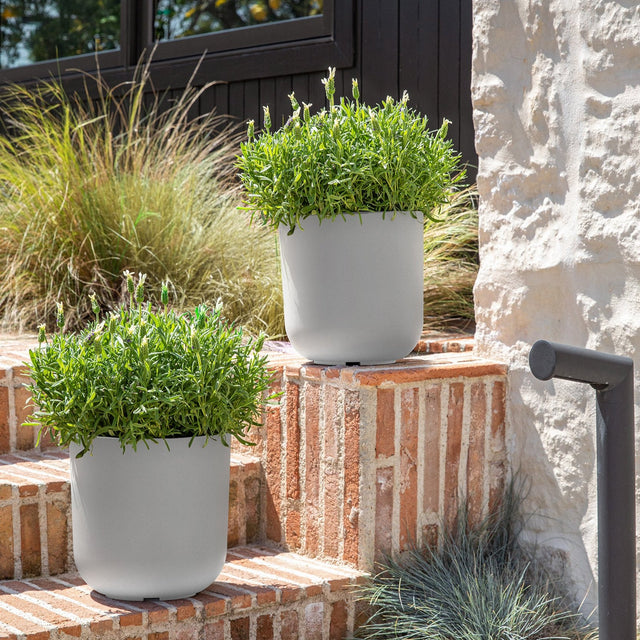 mason kona planter