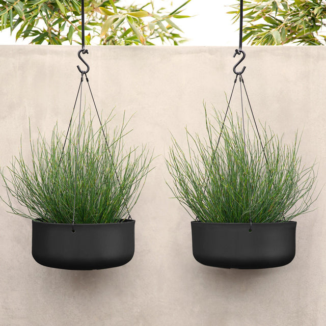 mason hanging kona bowl planter