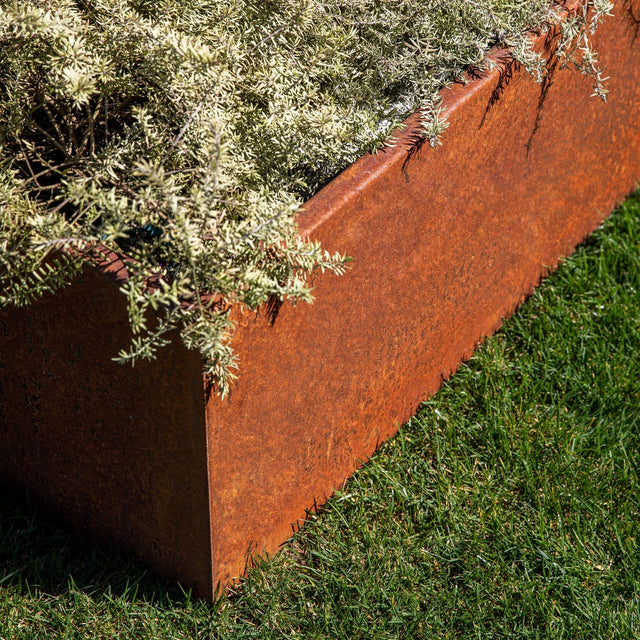 corten garden bed planter