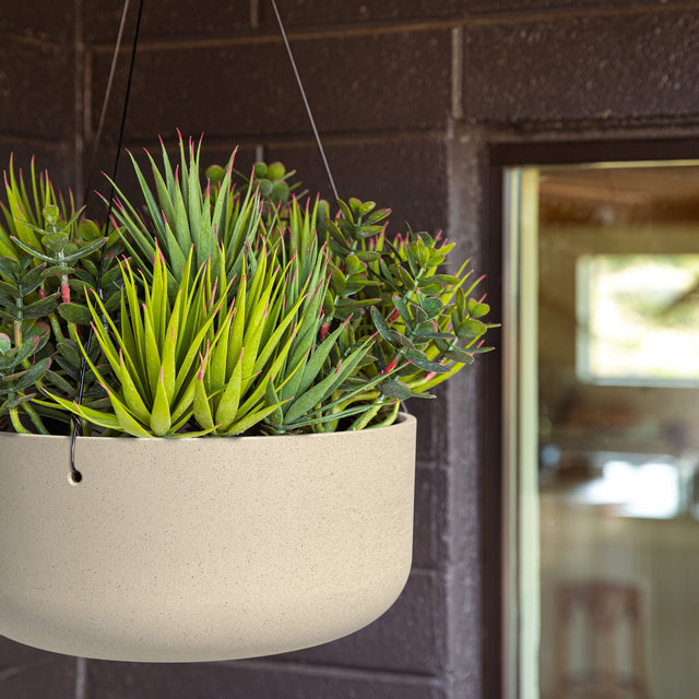 mason hanging kona bowl planter