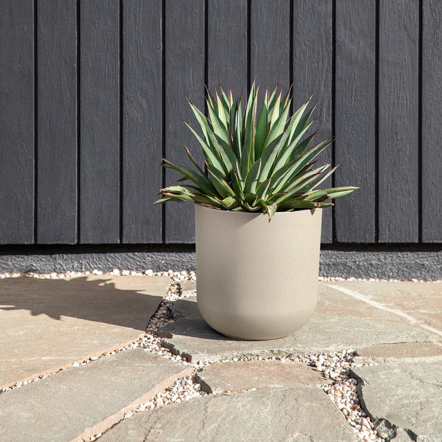 mason kona planter