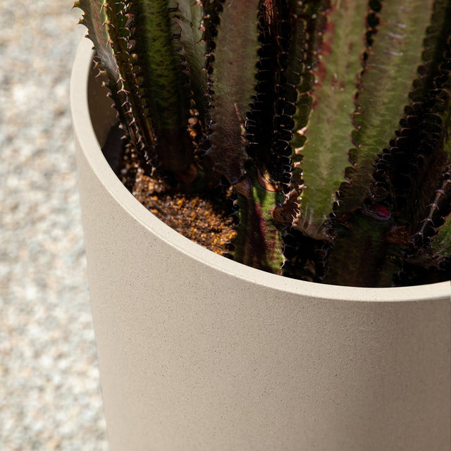 mason selena planter