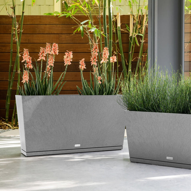 pure midori planter
