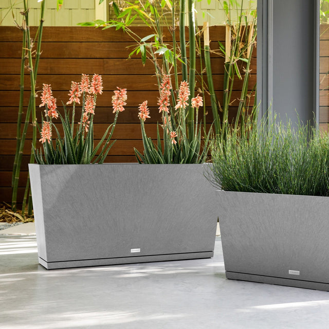 pure midori – the only tray™