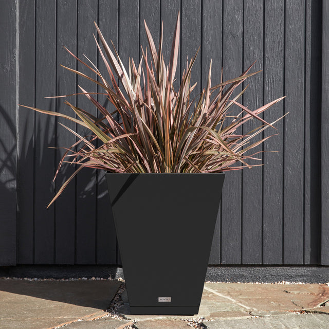 pure nobleton – the only tray™